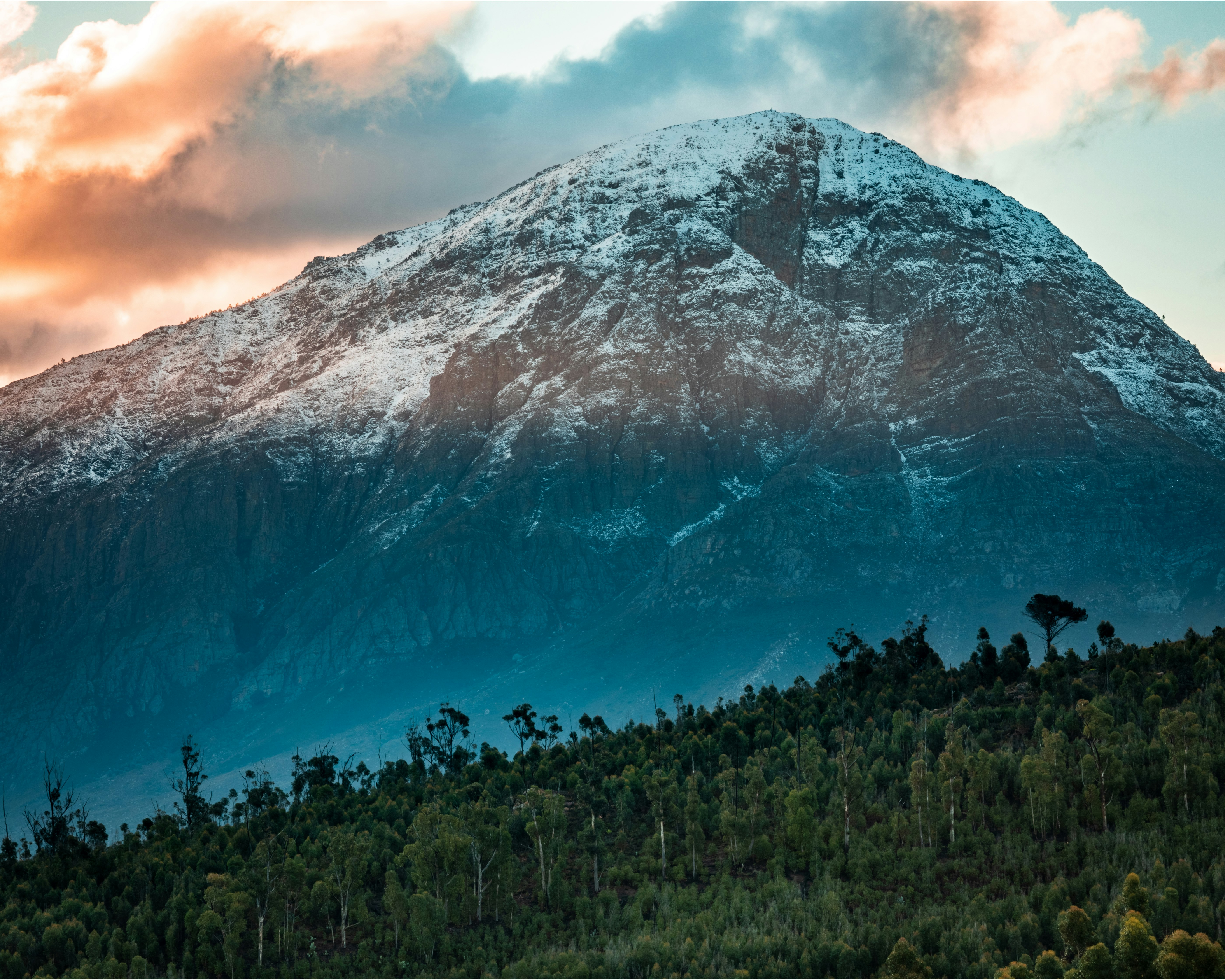 green trees near snow covered mountain during daytime